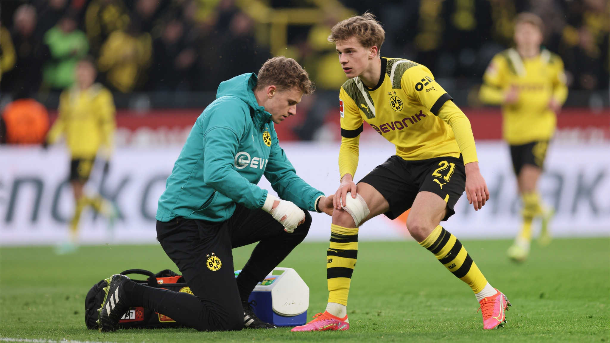 Kaiyun·开云服务介绍